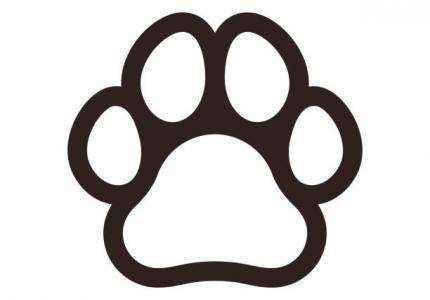 Animal path 